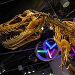 North Carolina Museum of Natural Sciences
