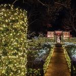 Christmas Village At Bayou Bend