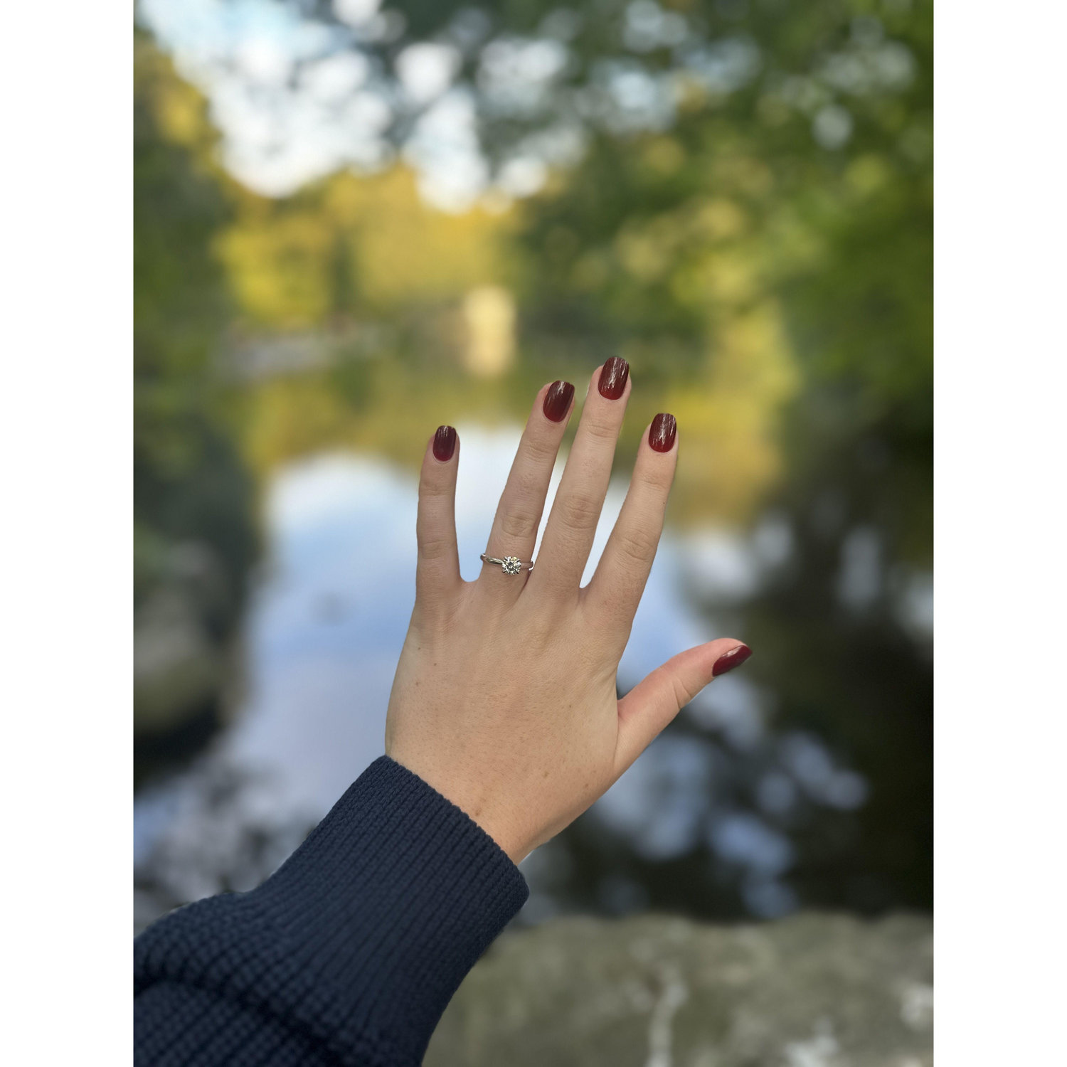 Tommy proposed on the bridge in St. Stephen's Green in Dublin, Ireland