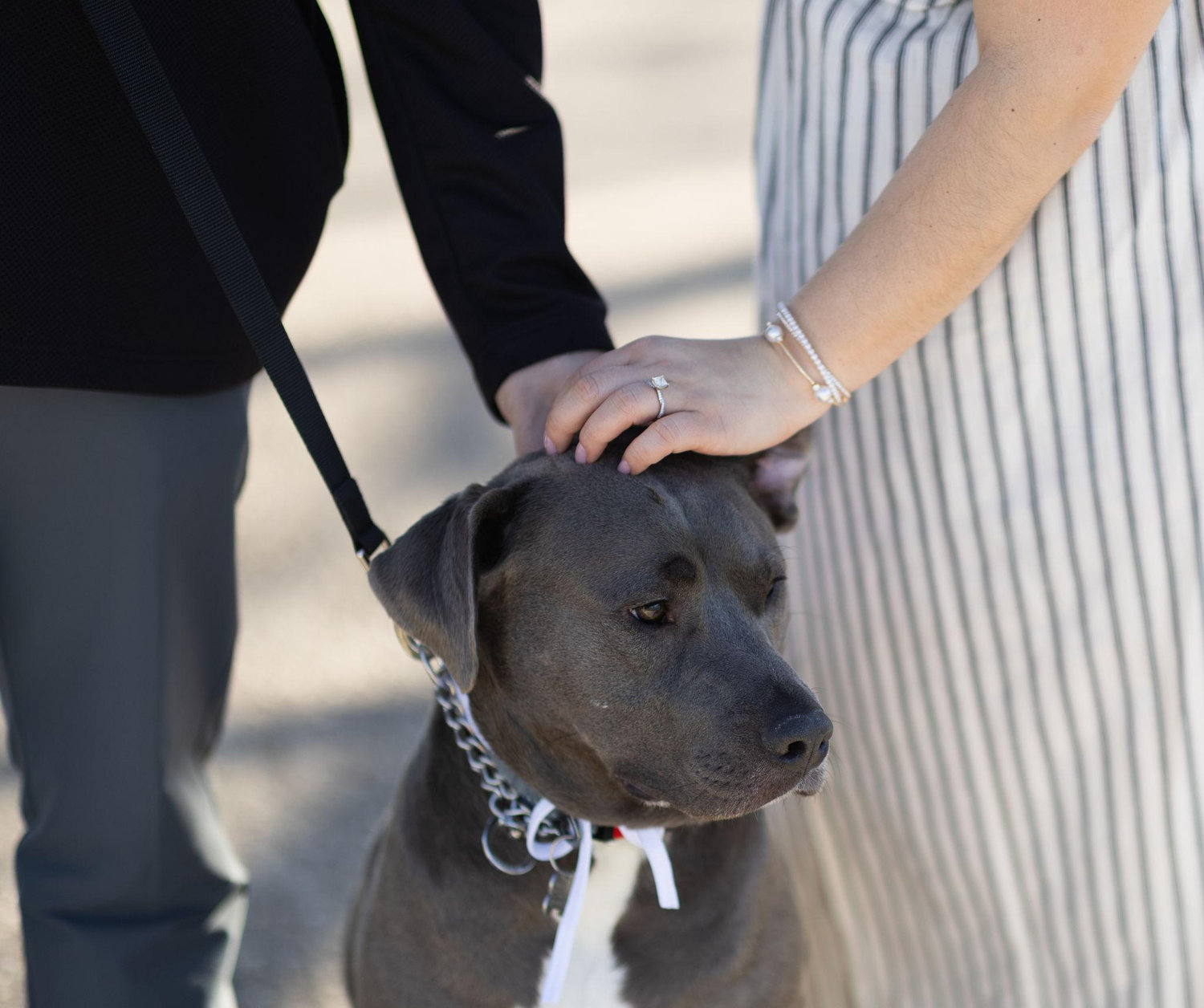 The Wedding Website of Samantha Soukal and Christopher Moore