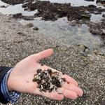 Glass Beach