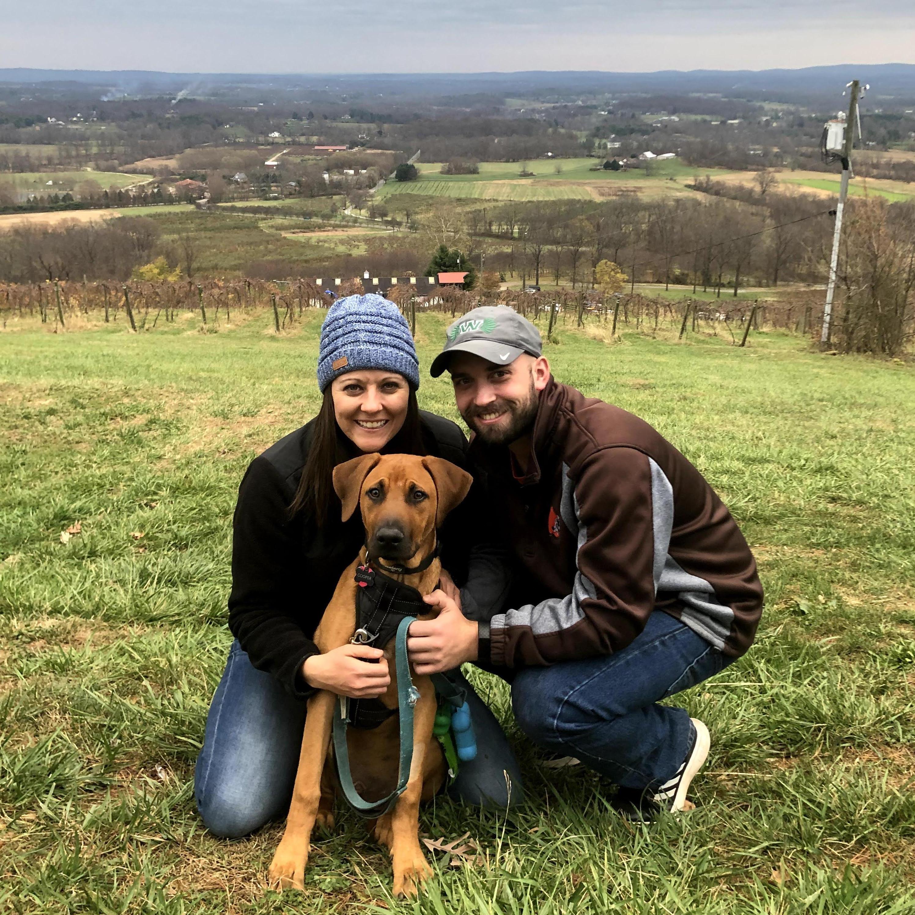 Bluemont winery this past fall.