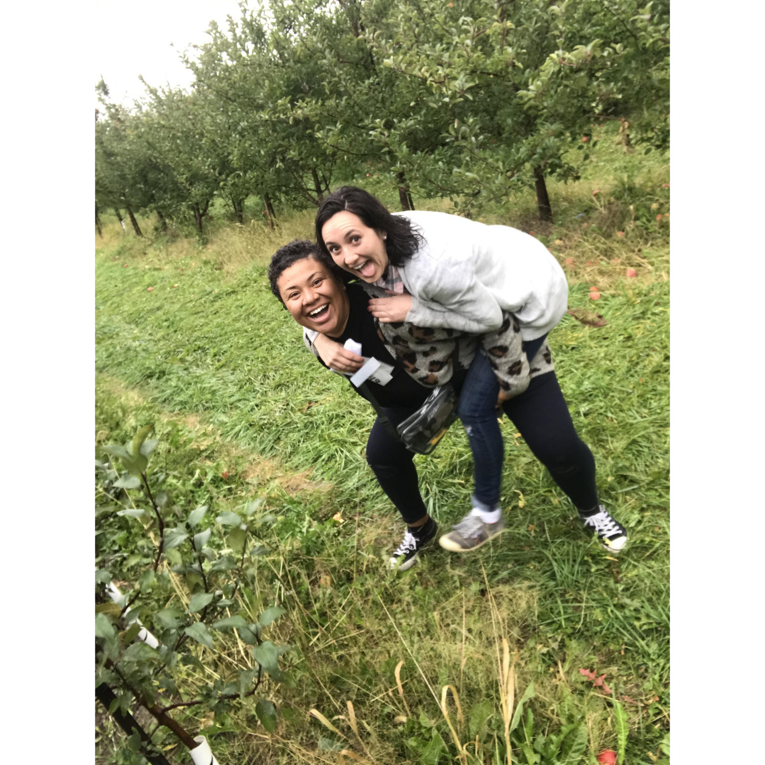 First time Apple Picking went well!