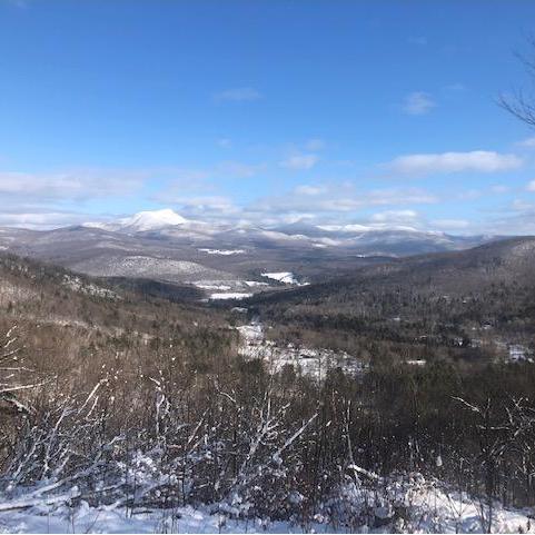View from the cabin at Sleepy Hollow!