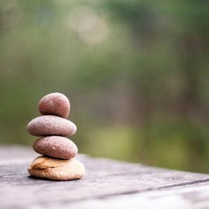 Tranquility fund