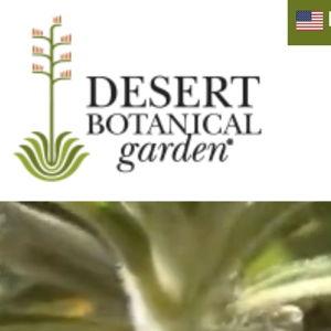 Desert Botanical Garden Membership