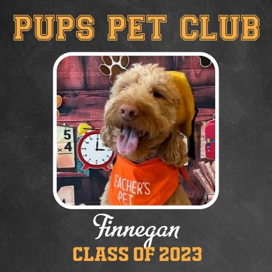 Finnegan’s College Education Fund