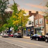 Chestnut Hill