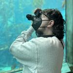 Monterey Bay Aquarium