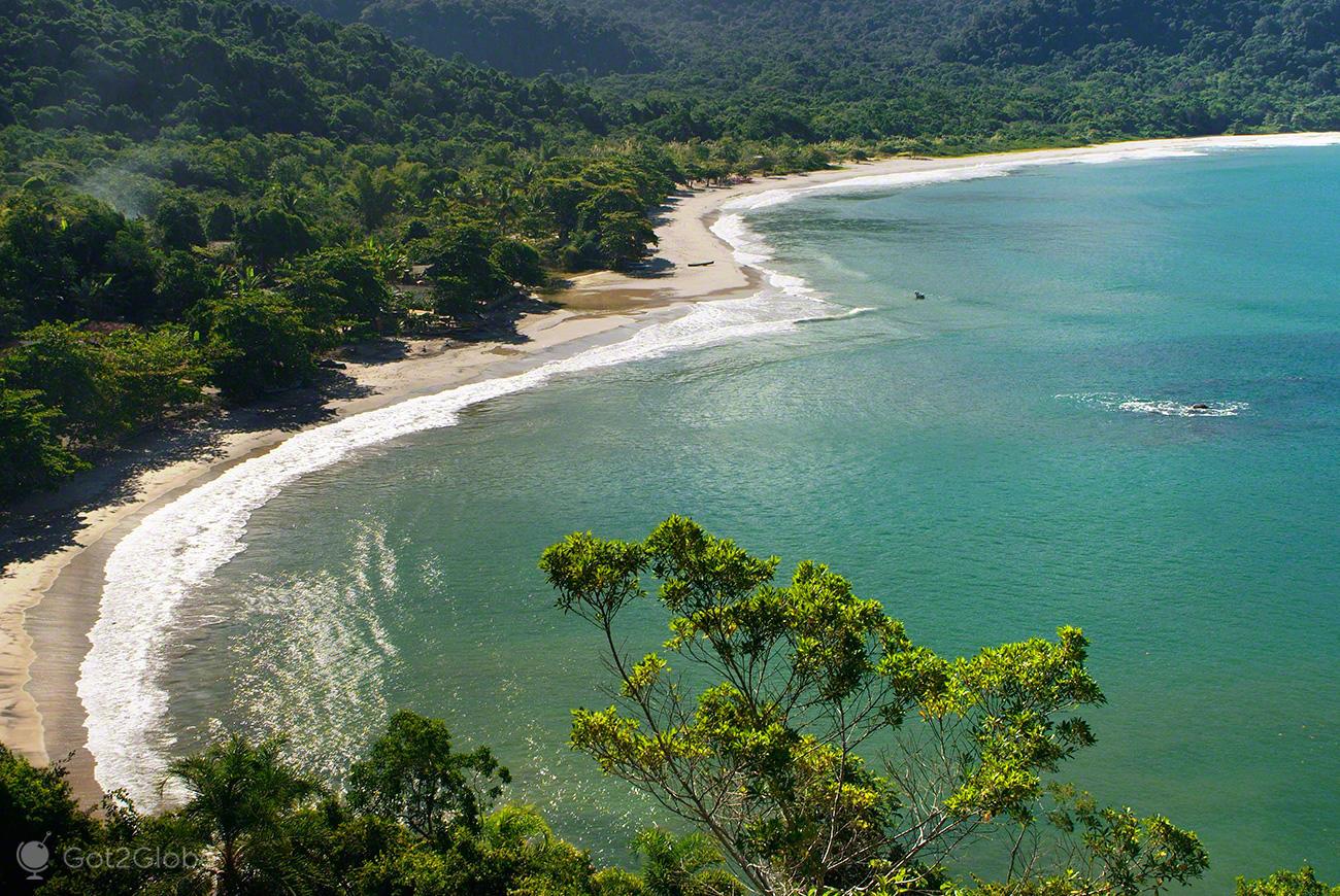 The Wedding Website of Joana Neziri and Pedro Ariza