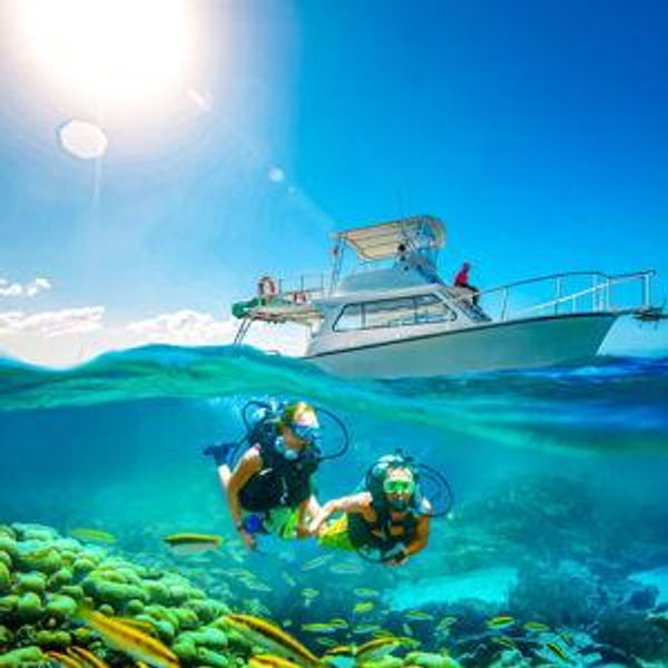 SCUBA Diving Adventure - Venmo