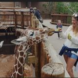 Cheyenne Mountain Zoo