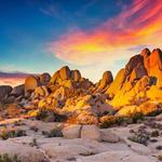 Joshua Tree National Park