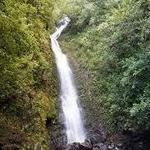 Lulumahu Falls Trail