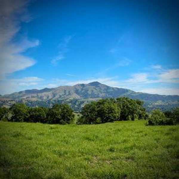 Save Mt. Diablo