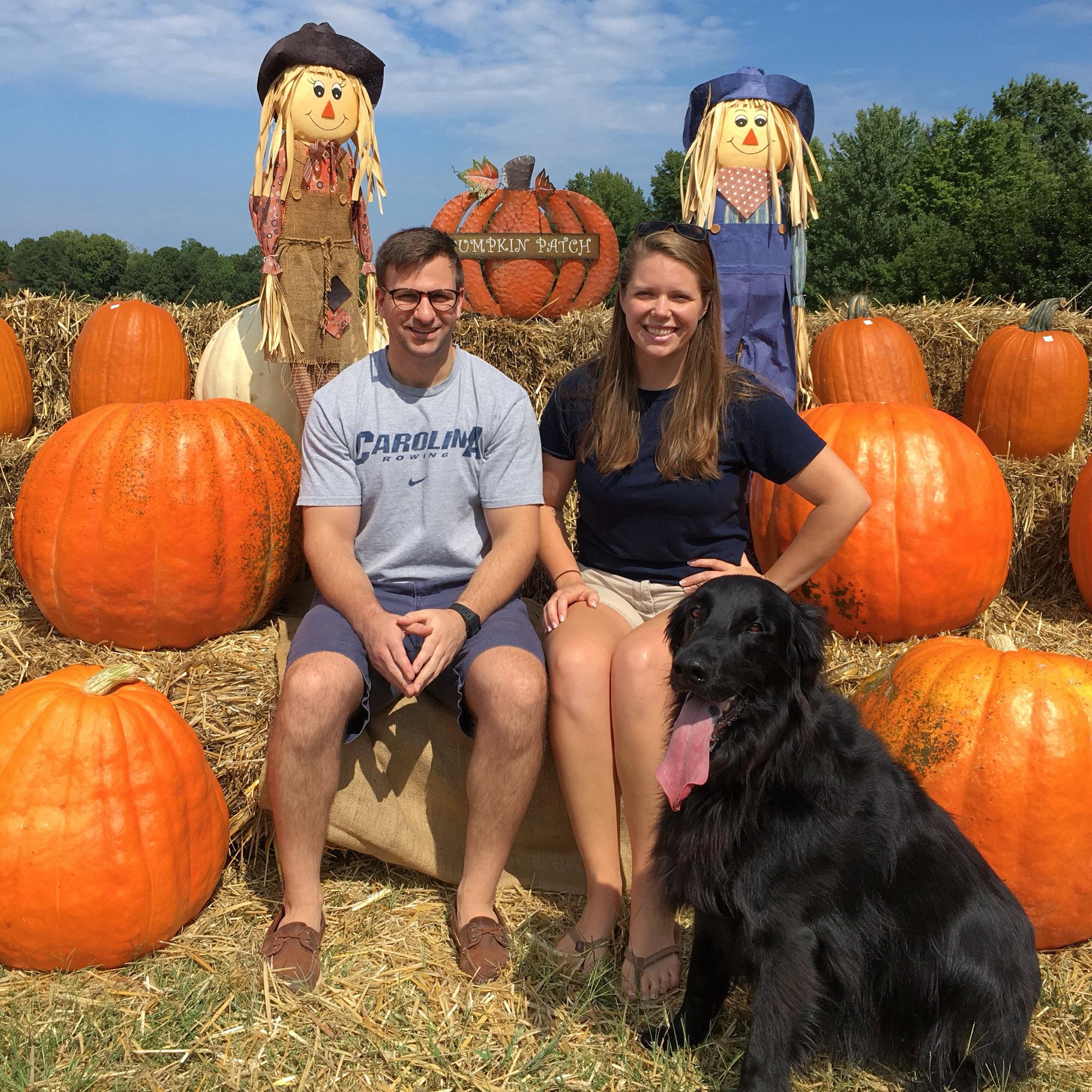Pumpkin Picking
September 2017