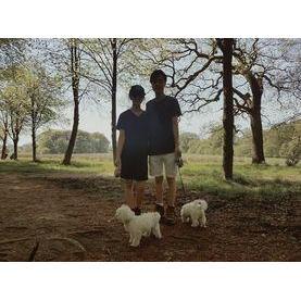 First time walking our dogs with our families