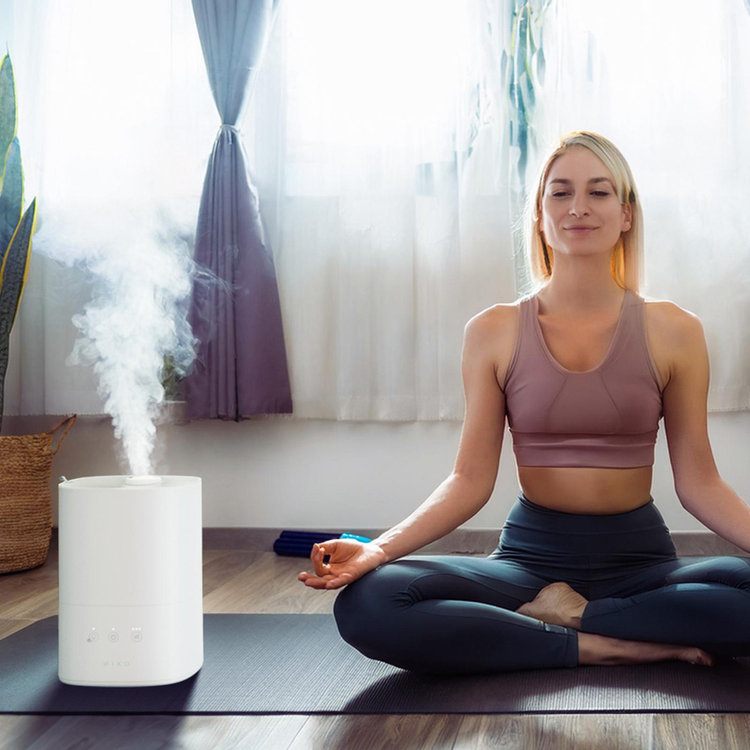 Miko, Breeze Cool Mist Humidifier | Zola