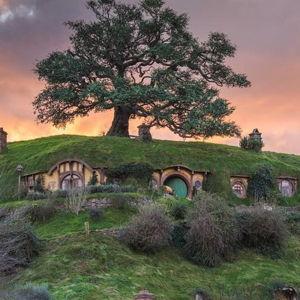 A visit to Hobbiton!