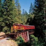 Skunk Train