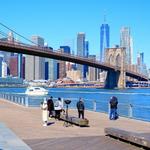 Dumbo