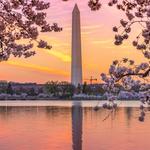 Washington Monument