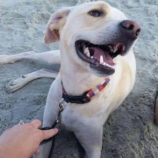 Youngest child - Carolina Joy