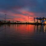 Mansel Carter Oasis Park