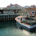 Chatham Pier Fish Market