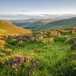 Wicklow Mountains