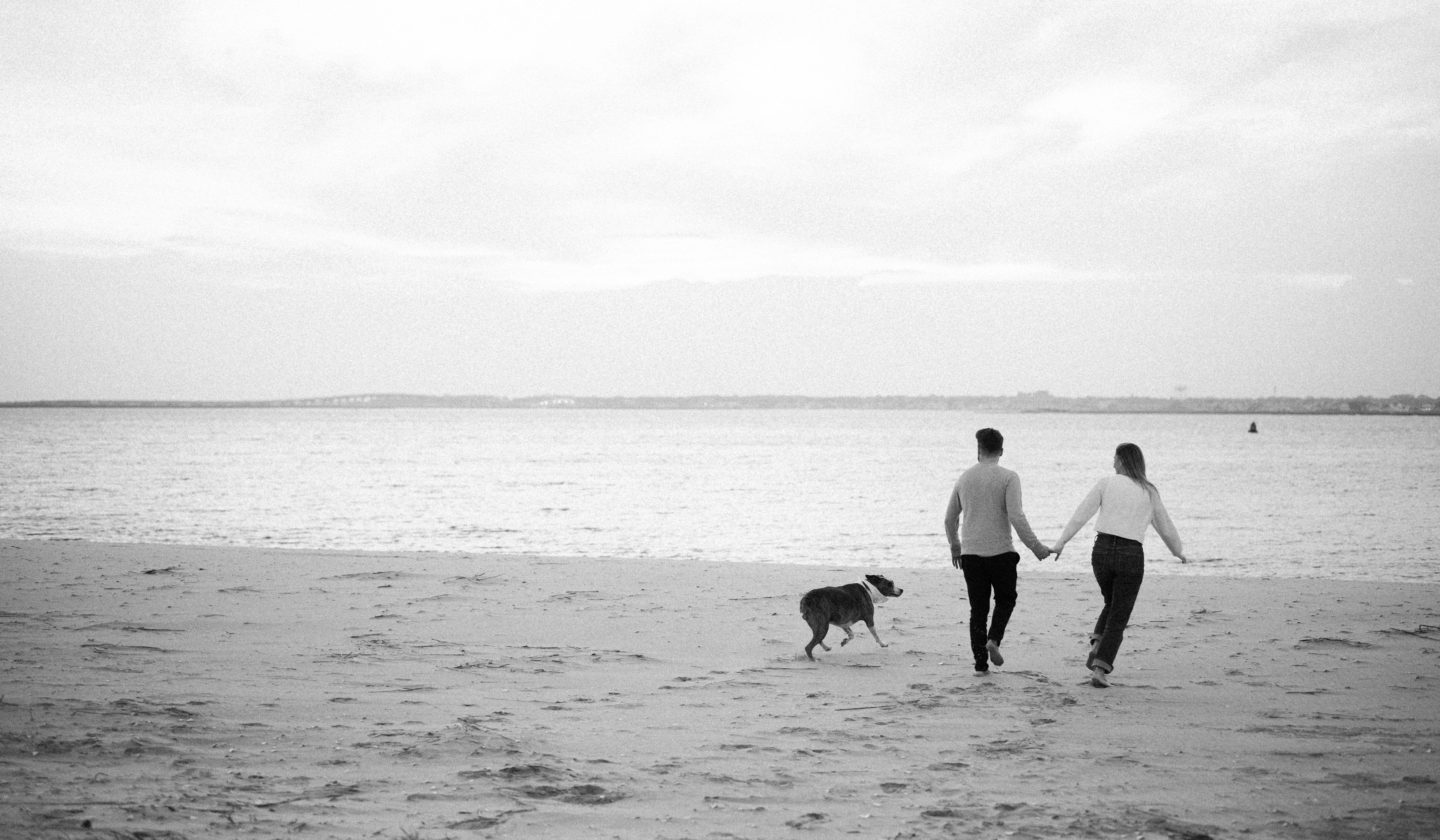 Footer image