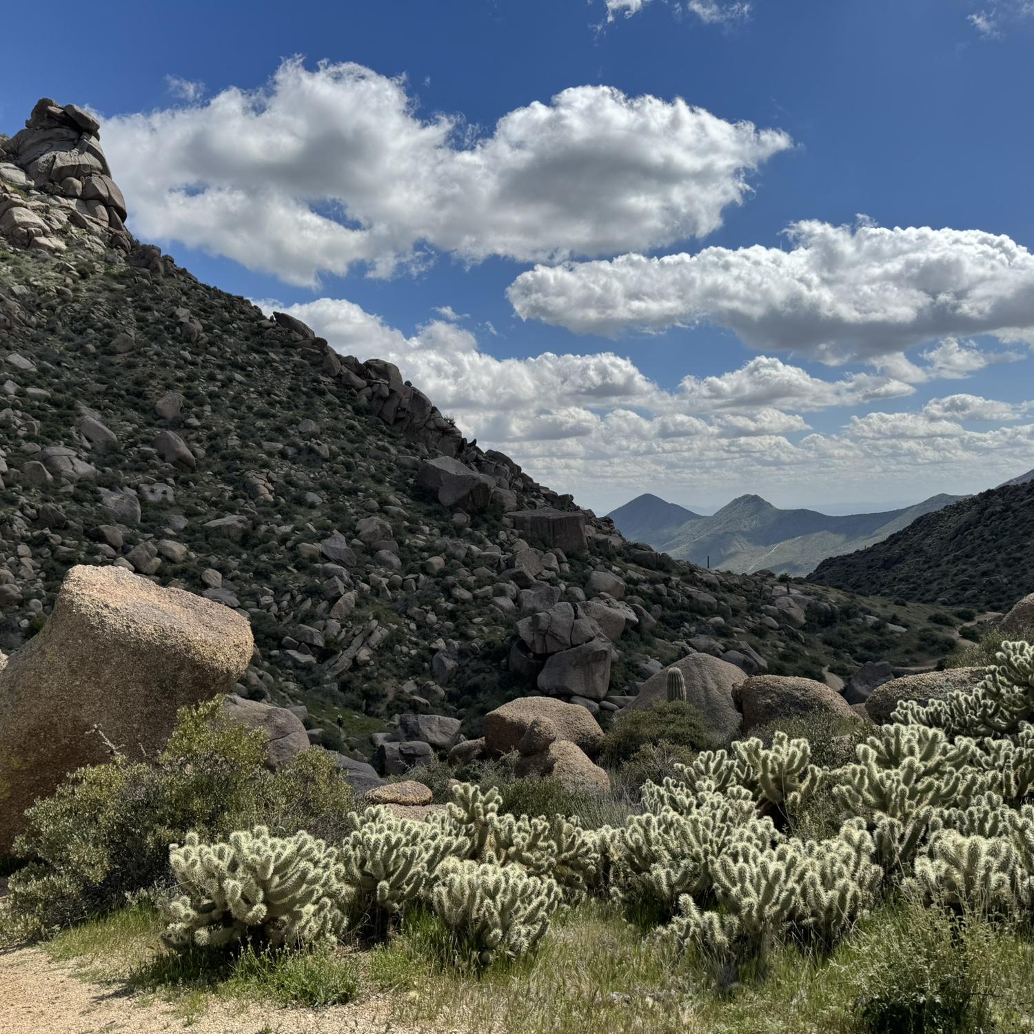Beautiful landscape from the hike we did the day we got engaged.