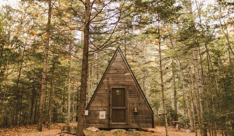 The Wedding Website of Elizabeth Fitzgerald and Daniel Burukhin