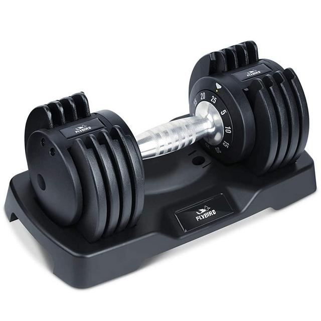 FLYBIRD Adjustable Dumbbells,25 lb Single Dumbbell for Men and Women with Anti-Slip Metal Handle,Fast Adjust Weight by Turning Handle,Black Dumbbell with Tray Suitable for Full Body Workout Fitness