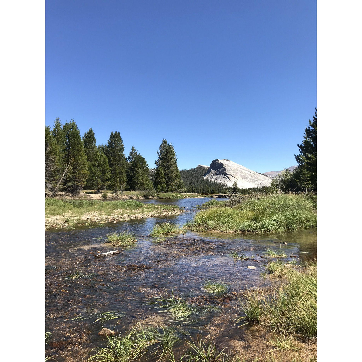 Tuolumne River