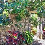 St George Village Botanical Gardens -SIGHTSEEING