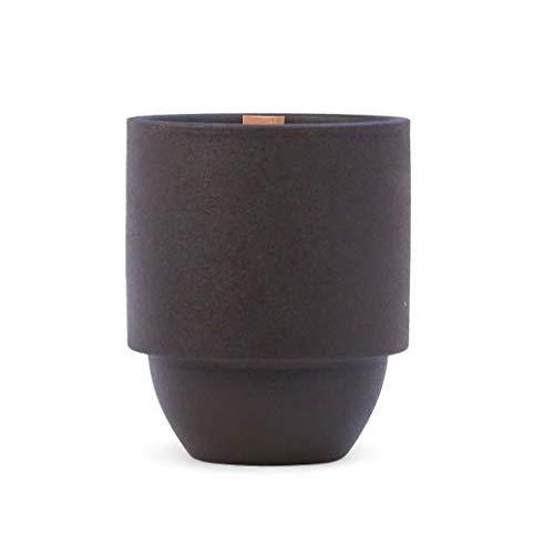 Paddywax Candles Parks Collection Scented Candle, 11-Ounce, Yosemite - Cottonwood + Oak