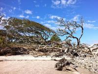Jekyll Island