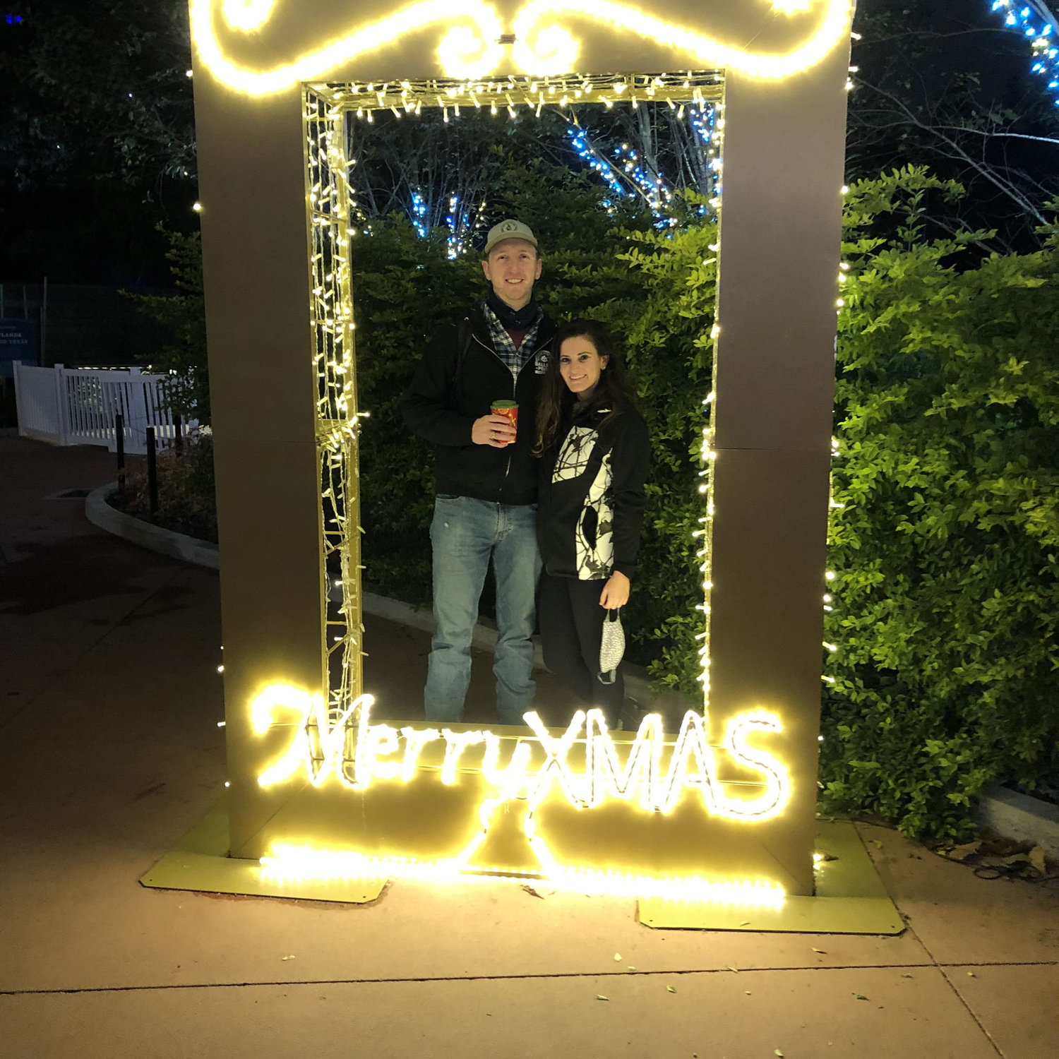 Houston Zoo Lights