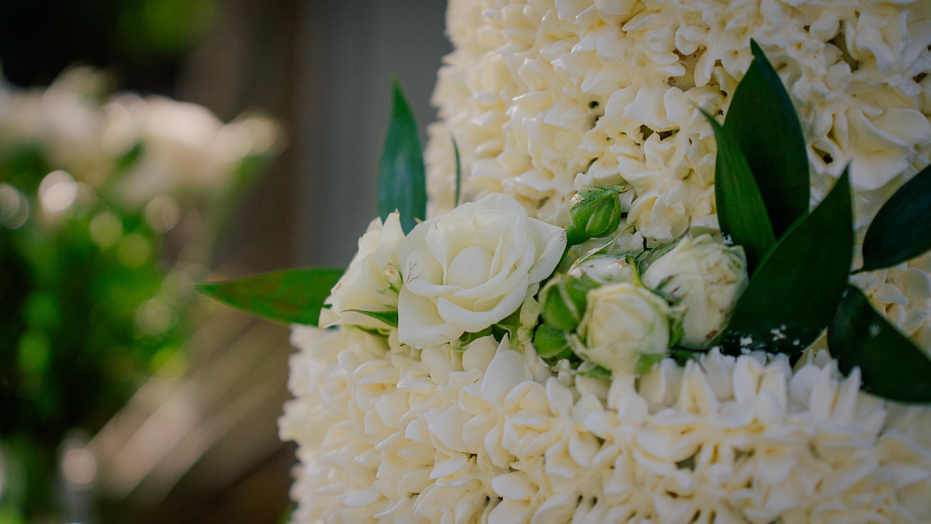 The Wedding Website of Madeline Gomes and Zachary Swanson