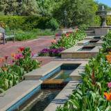 Norfolk Botanical Garden