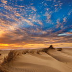 Jockey's Ridge State Park
