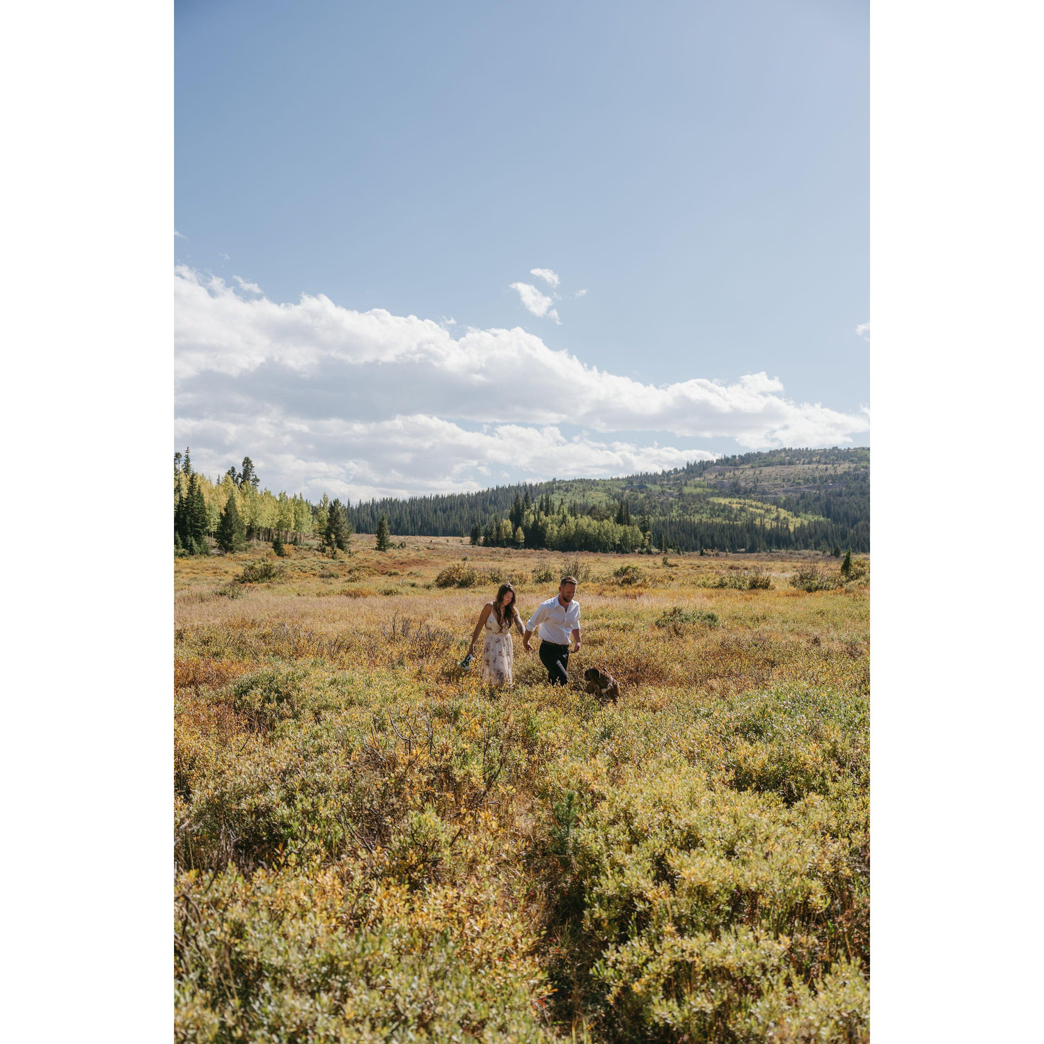 Meadow photos, brud loved it out there