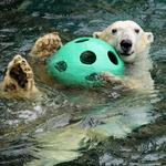 Kansas City Zoo & Aquarium