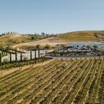 Akash Winery & Vineyard