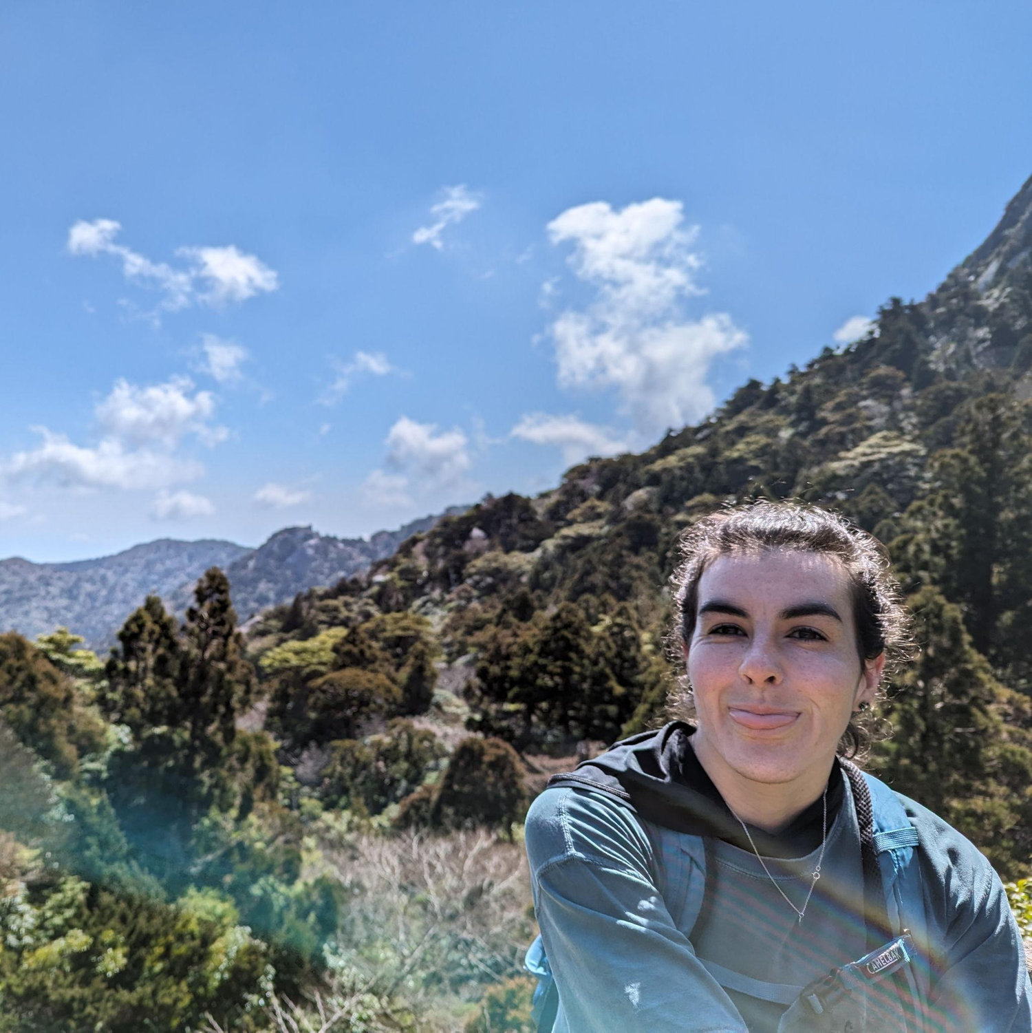 Yakushima, Japan 2024