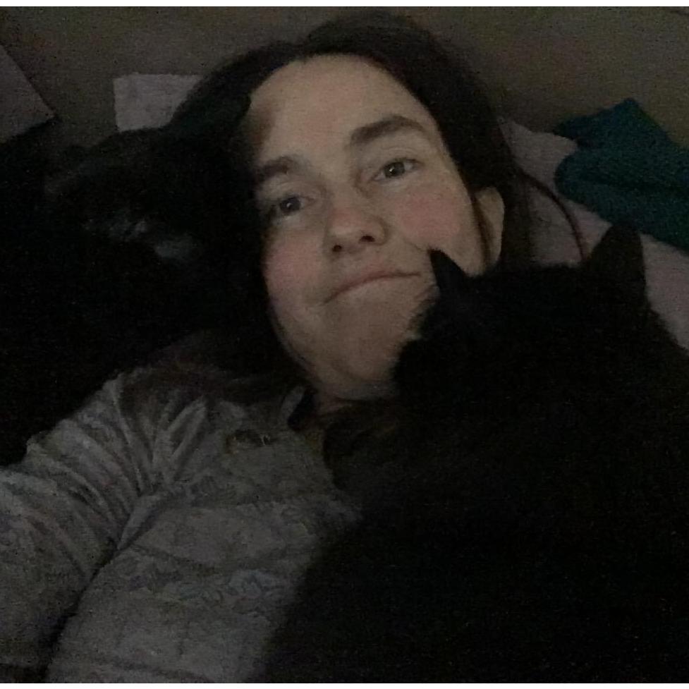Kitty snuggles with Angel and Wicket