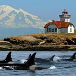 Port Townsend