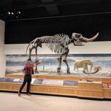 New York State Museum