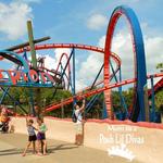 Busch Gardens Tampa Bay
